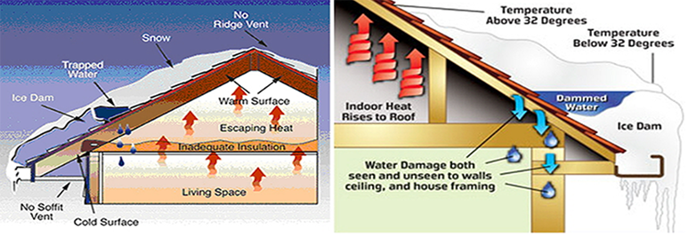 roof-graphic